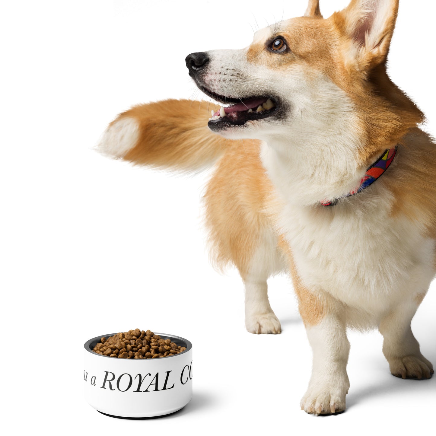 I identify as a Royal Corgi Pet bowl