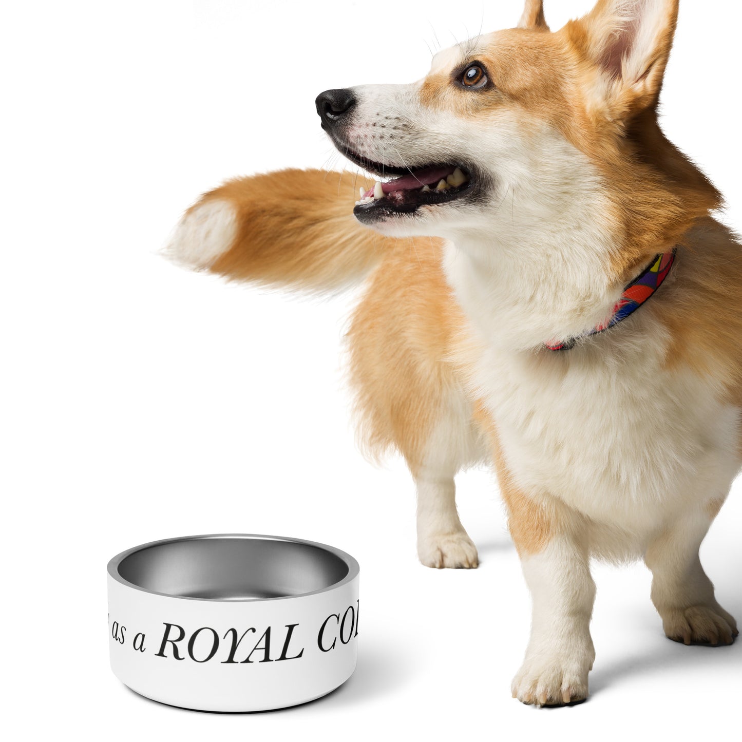 I identify as a Royal Corgi Pet bowl