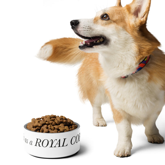 I identify as a Royal Corgi Pet bowl